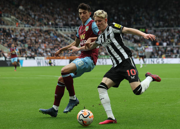 勇士本赛季 勇士本赛季