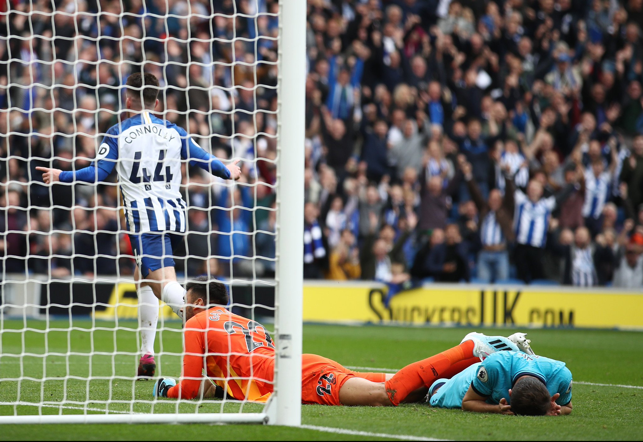 费内巴切的 费内巴切的